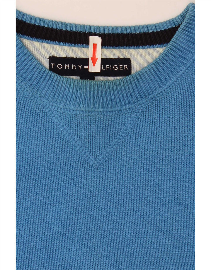 Мужской джемпер с круглым вырезом Tommy Hilfiger, хлопок среднего цвета, синий