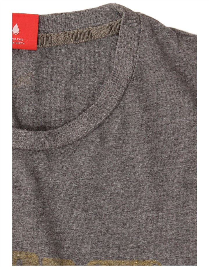 Мужская футболка с рисунком Puma Top XL Серая
