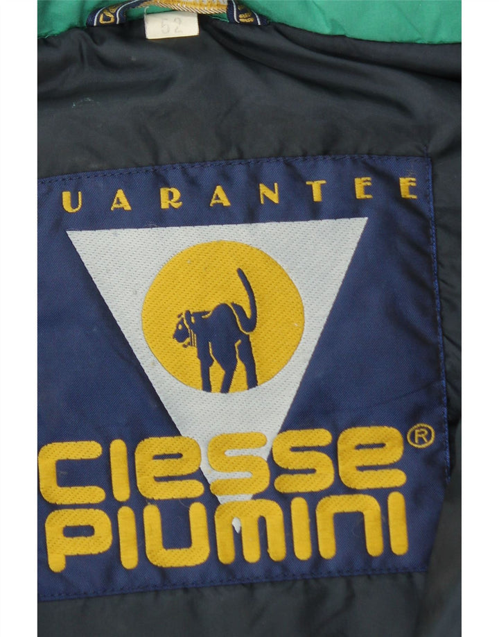 Мужская утепленная куртка с капюшоном Ciesse Piumini IT 52, большая зеленая, полиэстер, современная