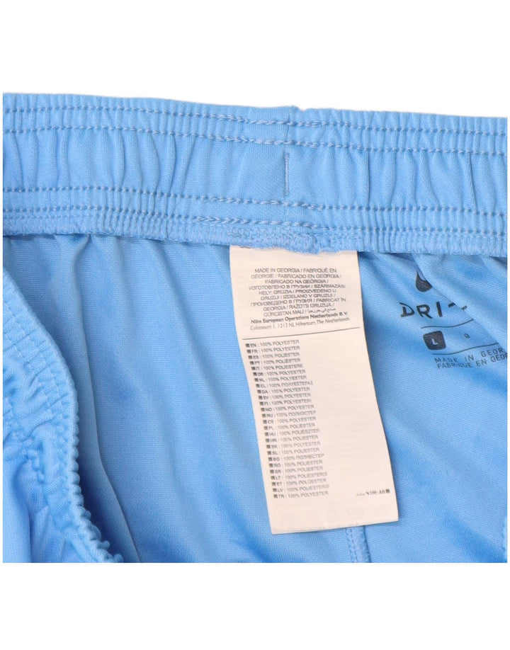 Мужские спортивные шорты Nike Dri Fit, большие синие, полиэстер