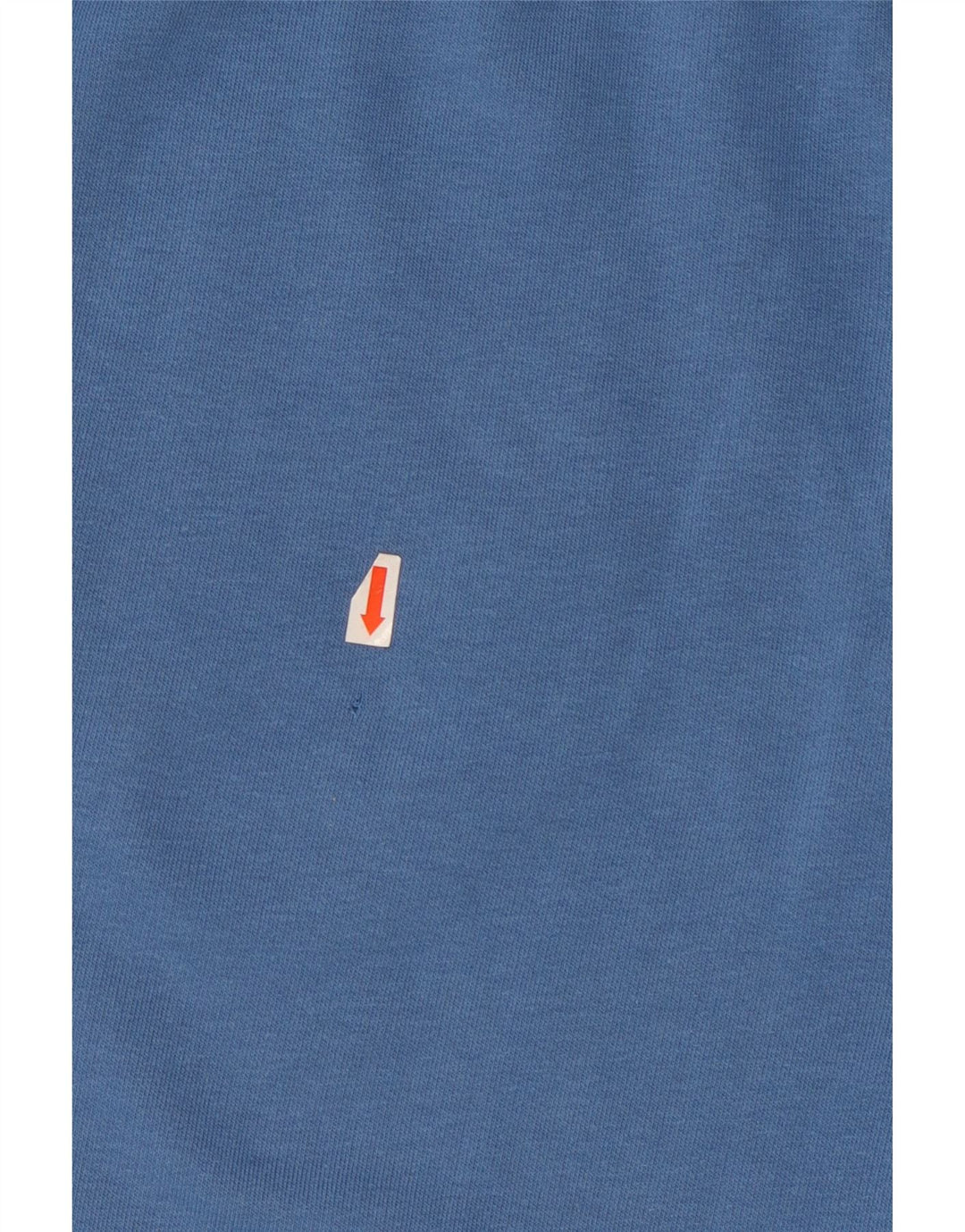 Мужские спортивные шорты с рисунком Champion XL, синие, хлопок