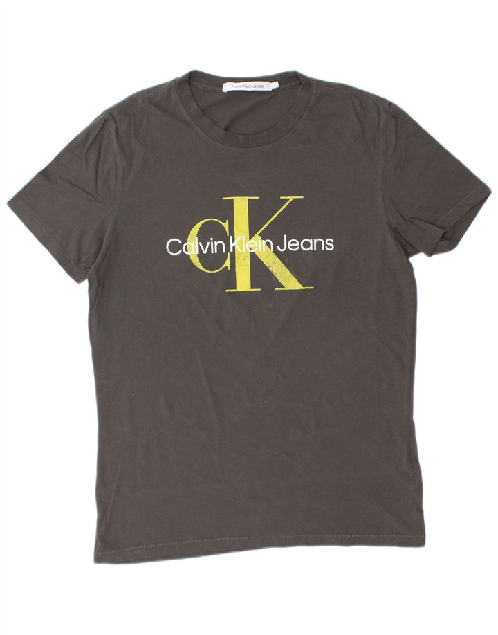 CALVIN KLEIN JEANS Мужская футболка с рисунком, большой серый хлопок