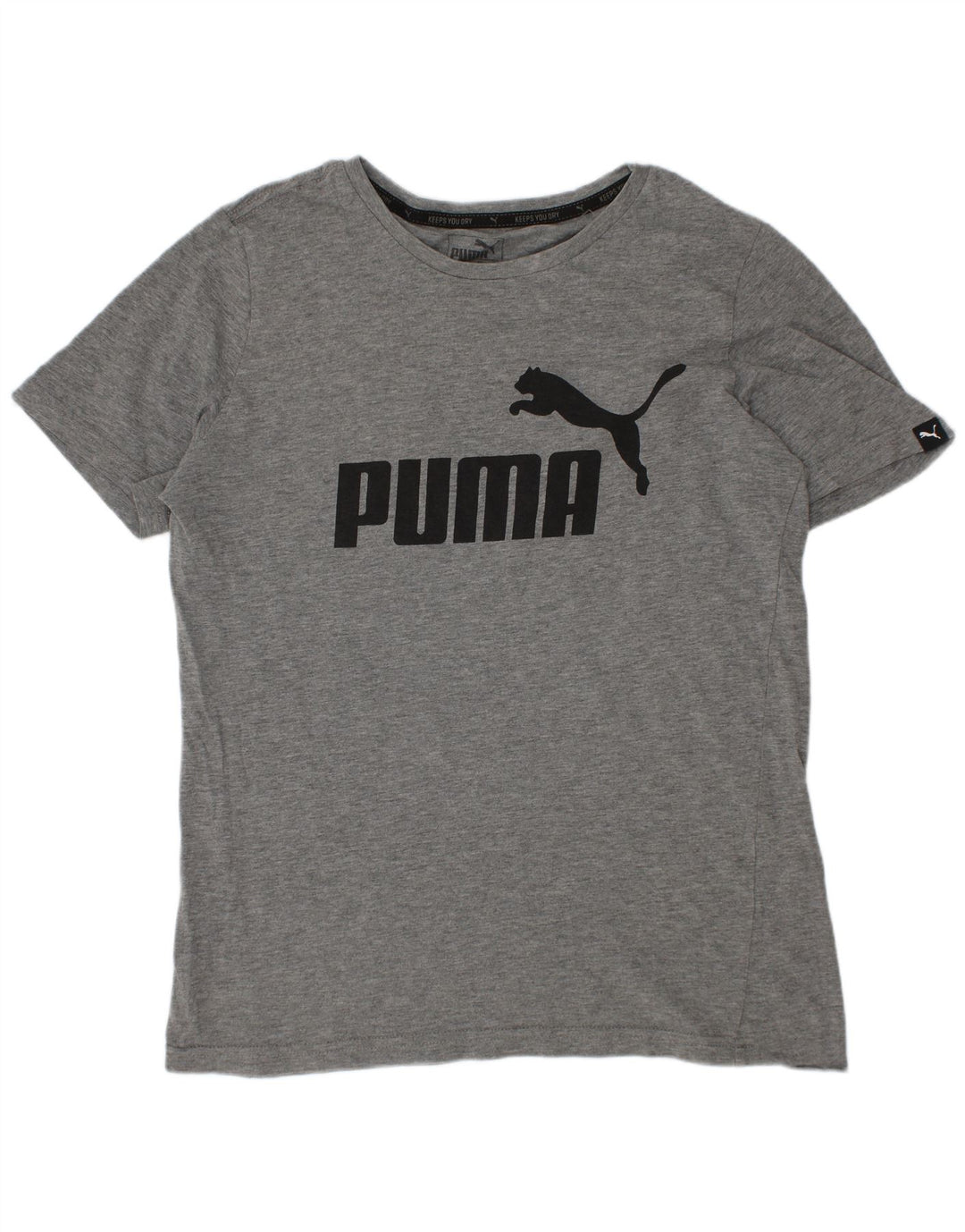 Футболка с рисунком Puma для мальчиков 11-12 лет, серая