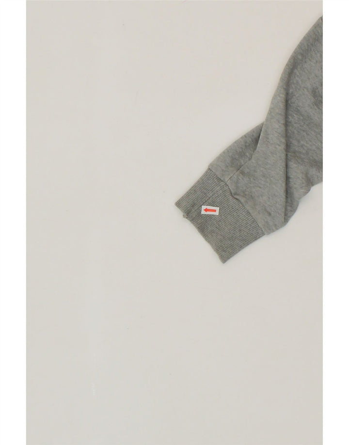 PUMA Mens Graphic Hoodie Jumper Small Grey Cotton Vintage Puma and Second-Hand Puma from Messina Hembry 