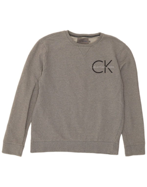 Мужской свитшот с рисунком Calvin Klein Jeans, большой серый хлопковый джемпер