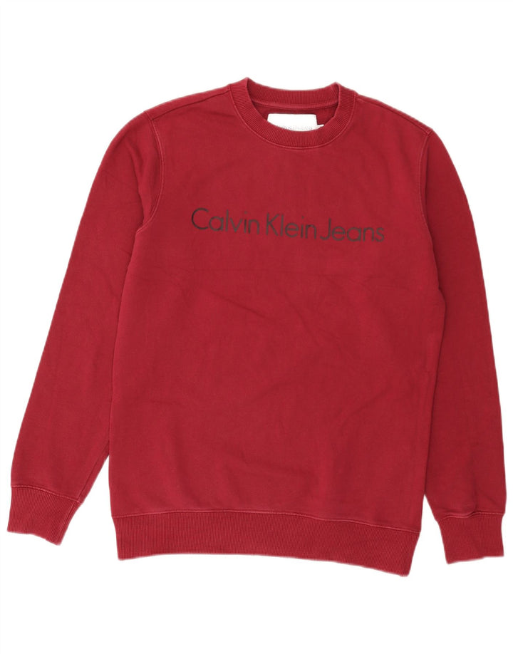Мужской свитшот с рисунком Calvin Klein Jeans, маленький красный хлопковый джемпер