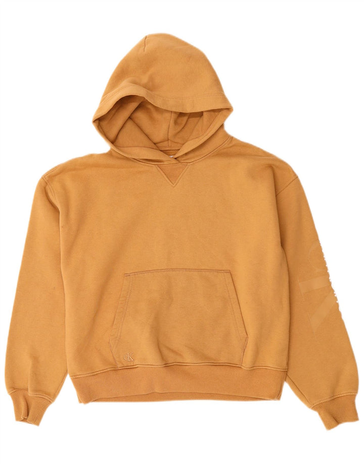 CALVIN KLEIN JEANS Женский джемпер с капюшоном оверсайз UK 10, маленький бежевый
