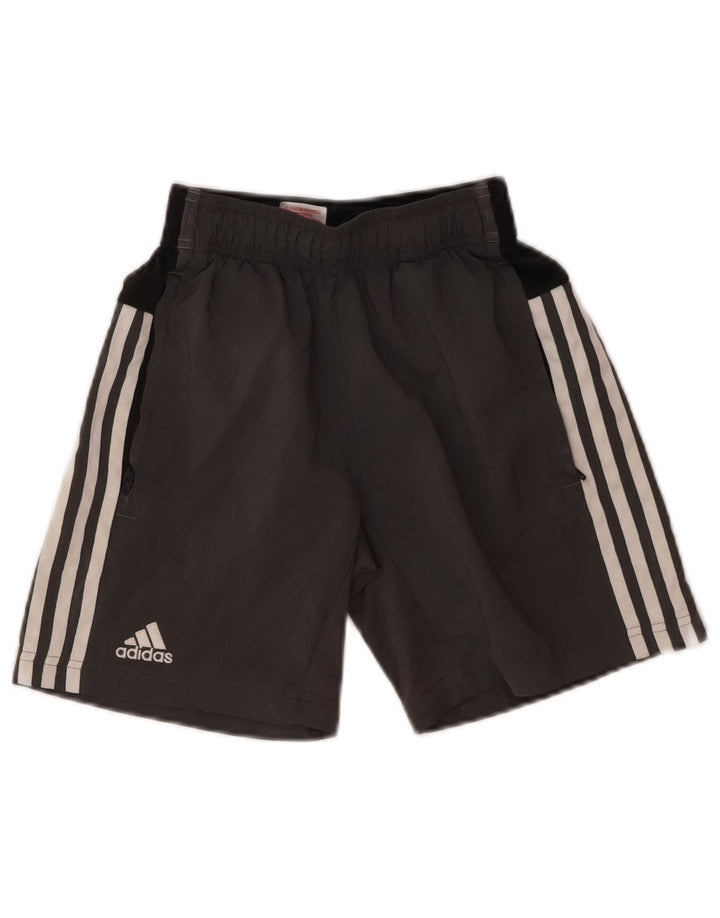 ADIDAS Boys Climalite Sport Shorts 11-12 Years  Grey Colourblock Polyester