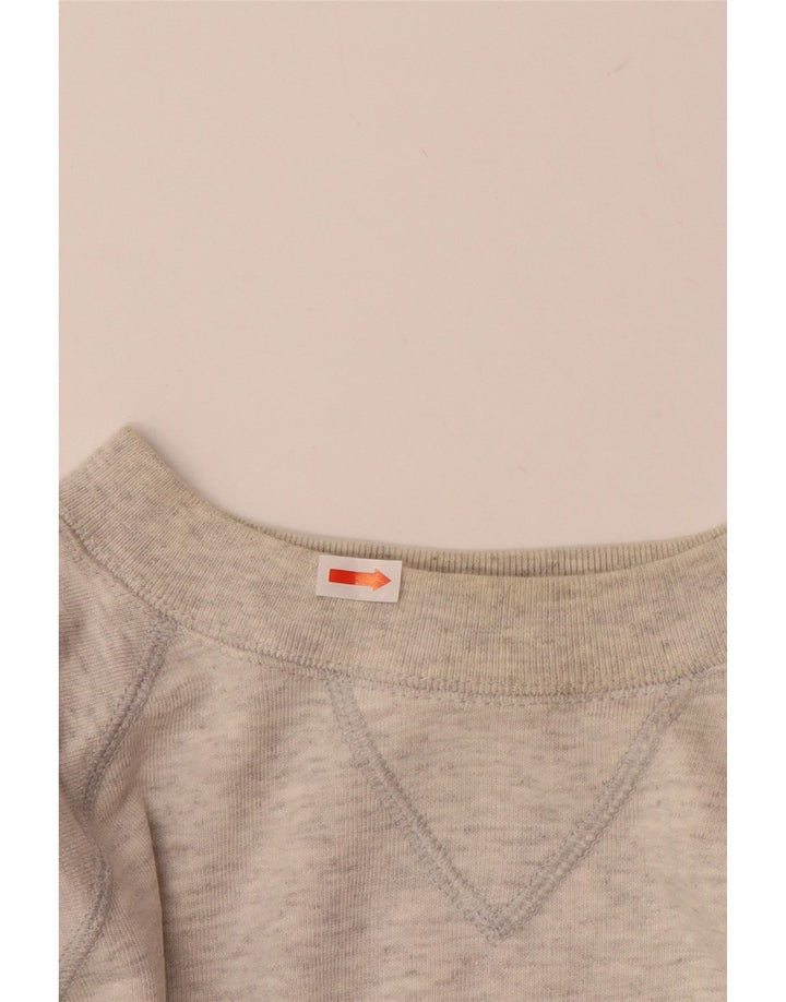 CHAMPION Mens Graphic Sweatshirt Jumper Large Grey Cotton