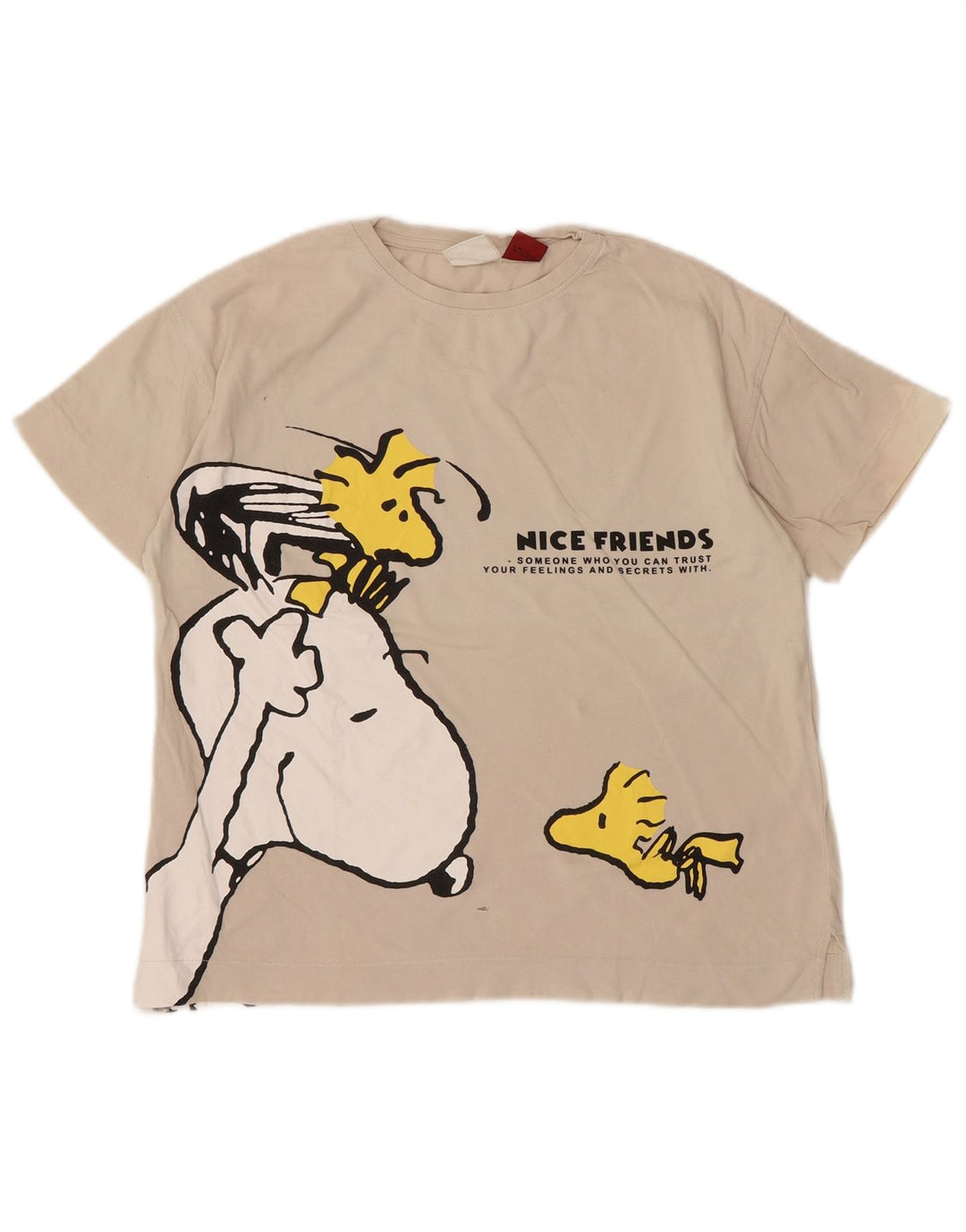 Футболка с рисунком Zara для мальчиков, цвет 9-10 лет, белая