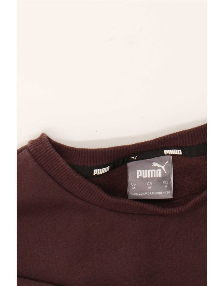 Мужской свитшот с рисунком Puma, средний коричневый