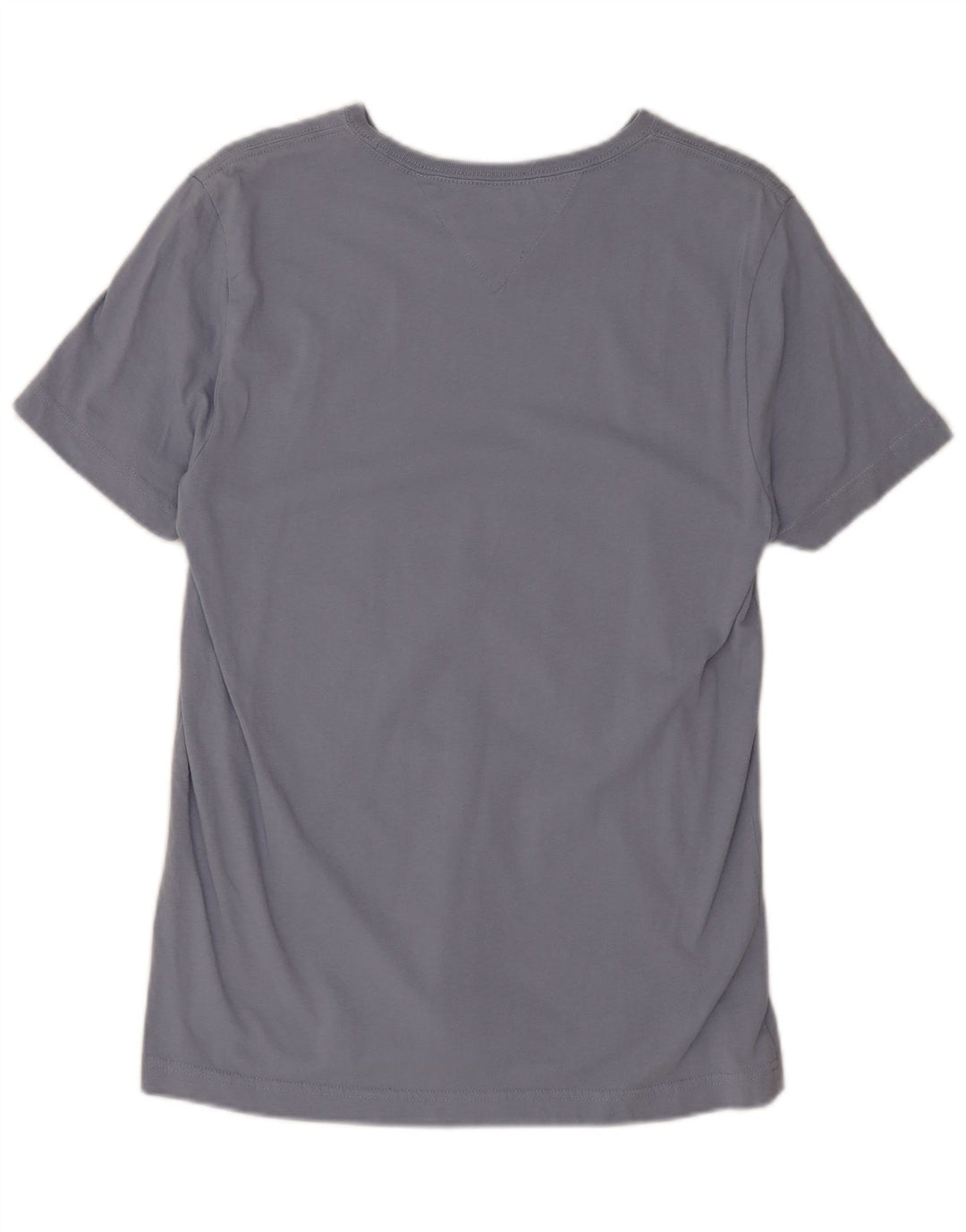 Мужская футболка Tommy Hilfiger, средний синий