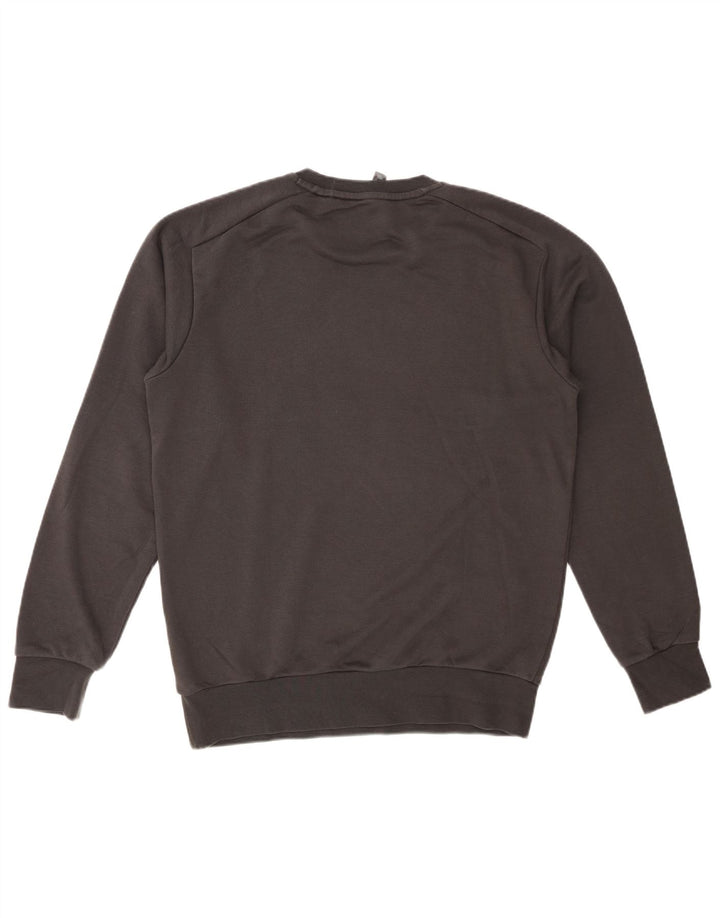 Мужской свитшот ADIDAS с рисунком, хлопковый джемпер среднего серого цвета