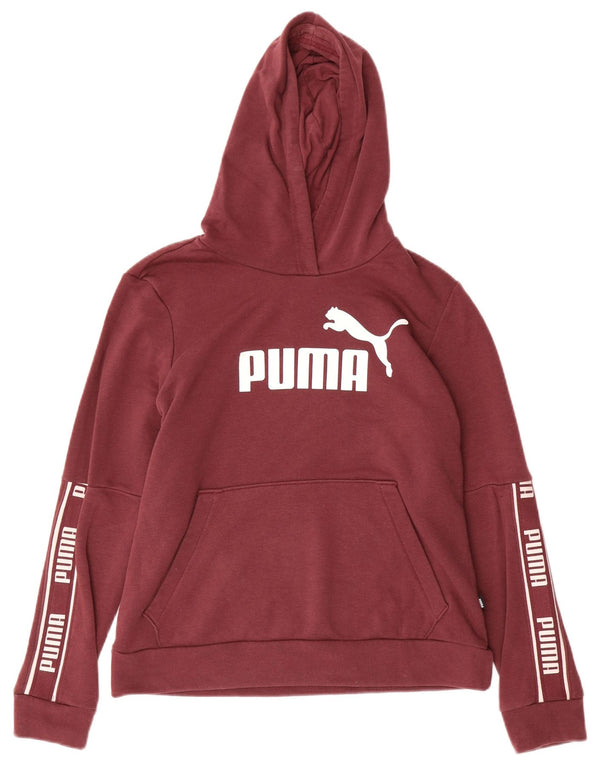 Женский джемпер с капюшоном PUMA UK 14, средний бордовый, хлопок