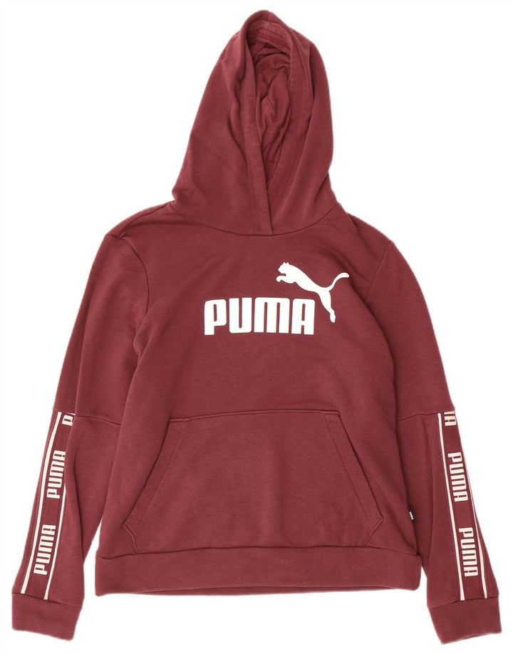 Женский джемпер с капюшоном PUMA UK 14, средний бордовый, хлопок