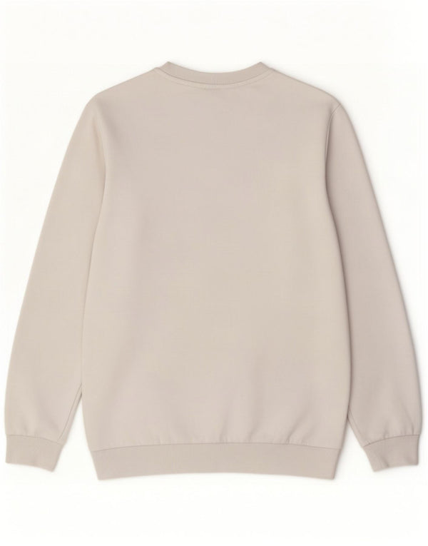Calvin Klein Jeans Mens Graphic Sweatshirt Jumper Medium White Cotton