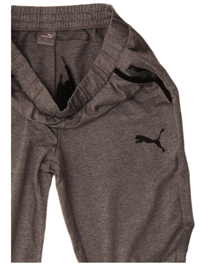 Мужские спортивные брюки Puma, джоггеры, средний серый, полиэстер с цветными блоками