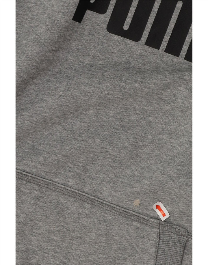 Мужской джемпер с капюшоном PUMA с рисунком, хлопковый, среднего серого цвета