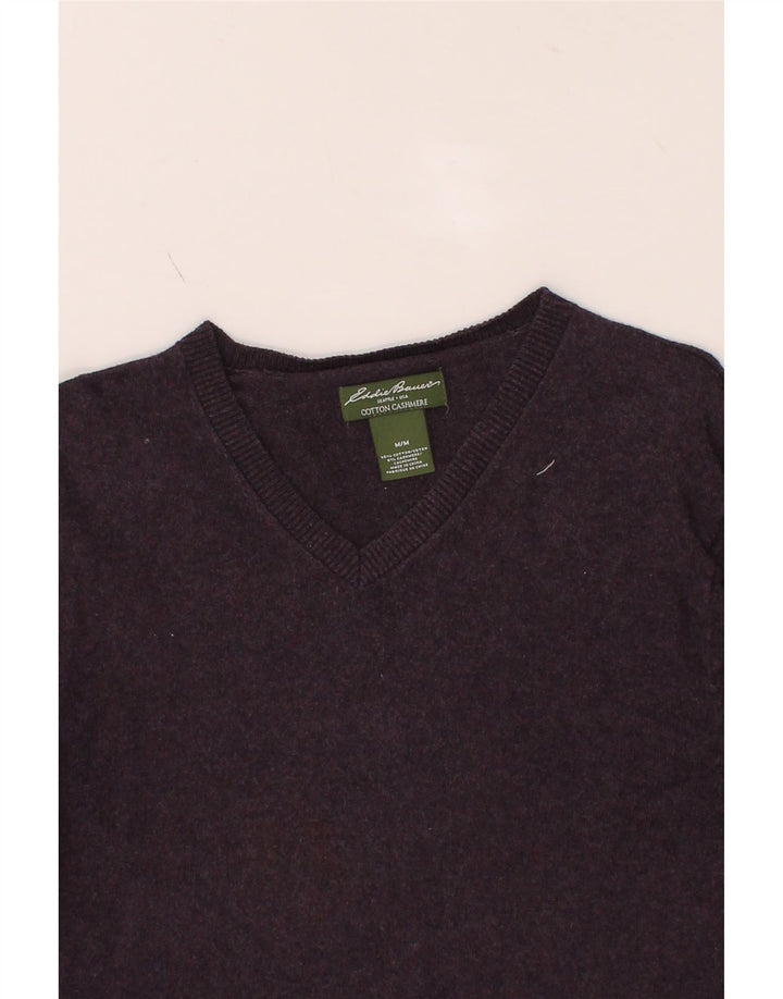EDDIE BAUER Mens V-Neck Jumper Sweater Medium Purple Cotton Vintage Eddie Bauer and Second-Hand Eddie Bauer from Messina Hembry 