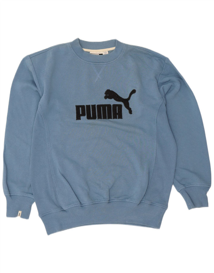 Мужской свитшот свободного кроя Puma с рисунком, маленький синий хлопковый джемпер