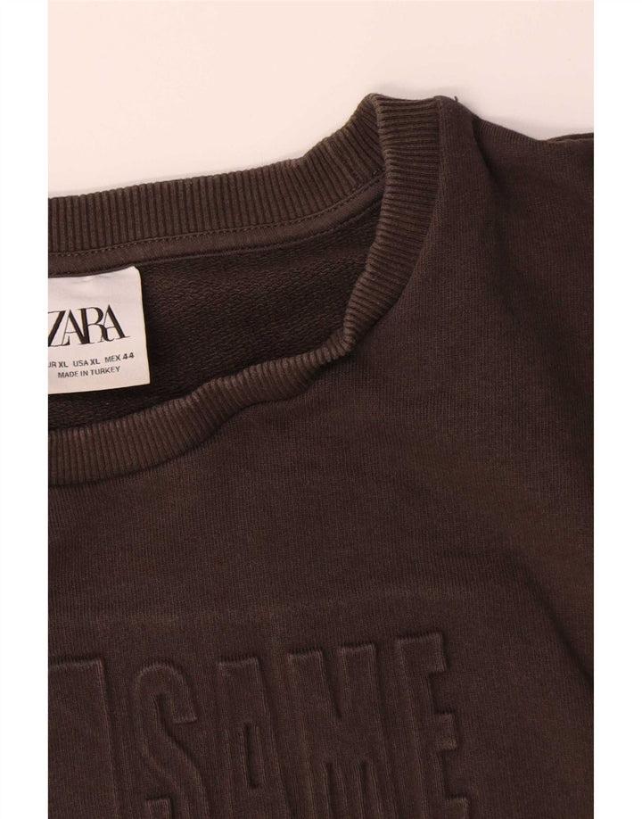 Мужской свитшот с рисунком Zara XL, коричневый хлопок