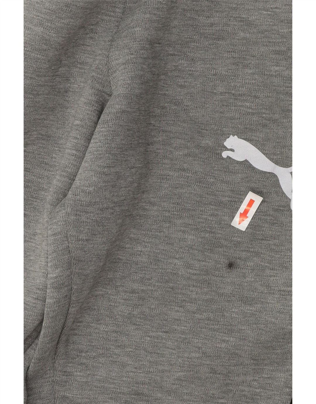 Мужские спортивные брюки Puma, маленькие серые, хлопок с цветными блоками