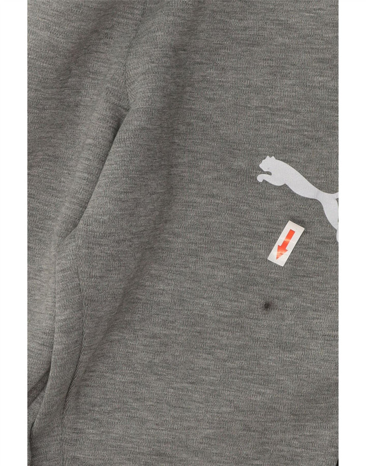 Мужские спортивные брюки Puma, маленькие серые, хлопок с цветными блоками