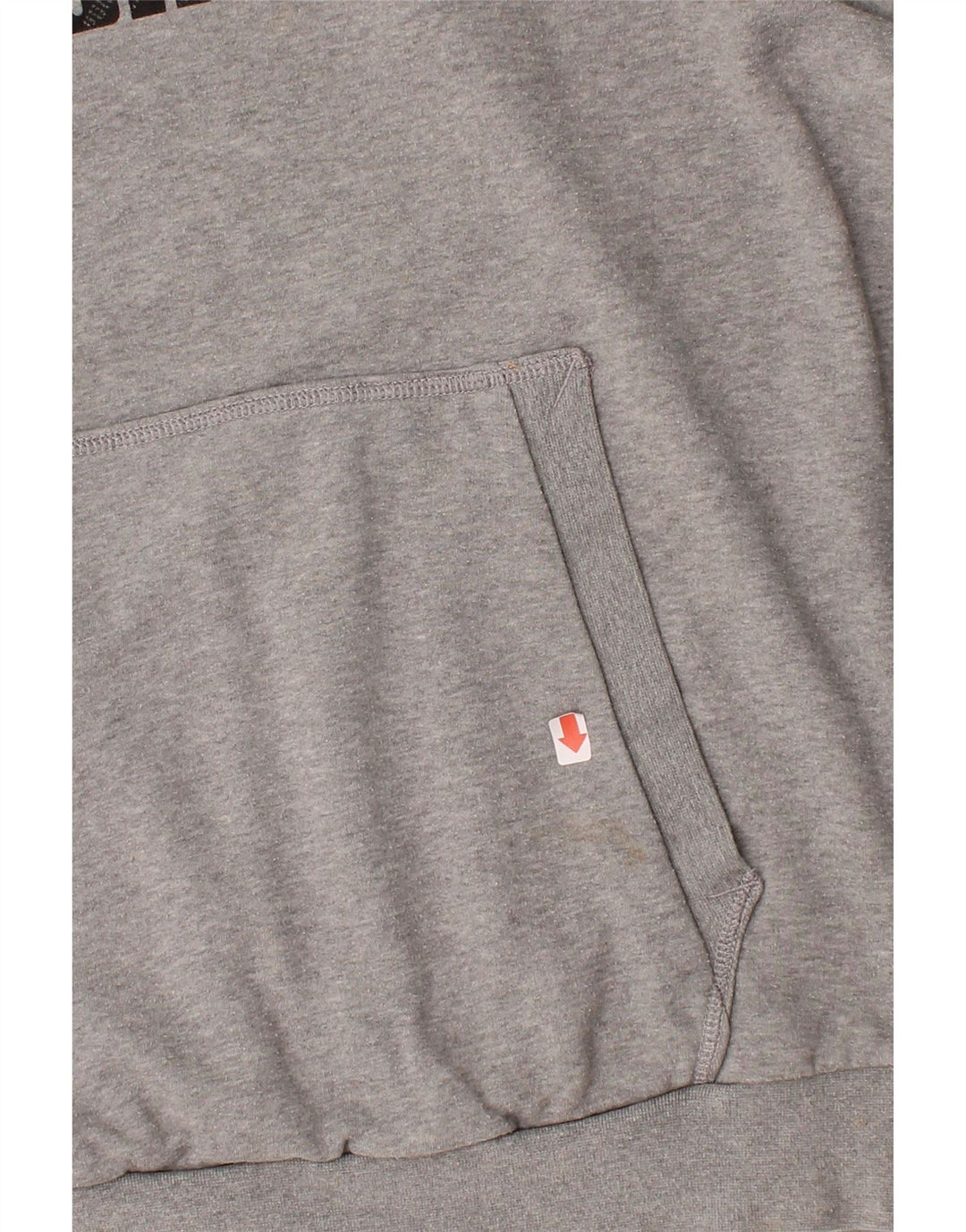PUMA Mens Graphic Hoodie Jumper Large Grey Cotton Vintage Puma and Second-Hand Puma from Messina Hembry 