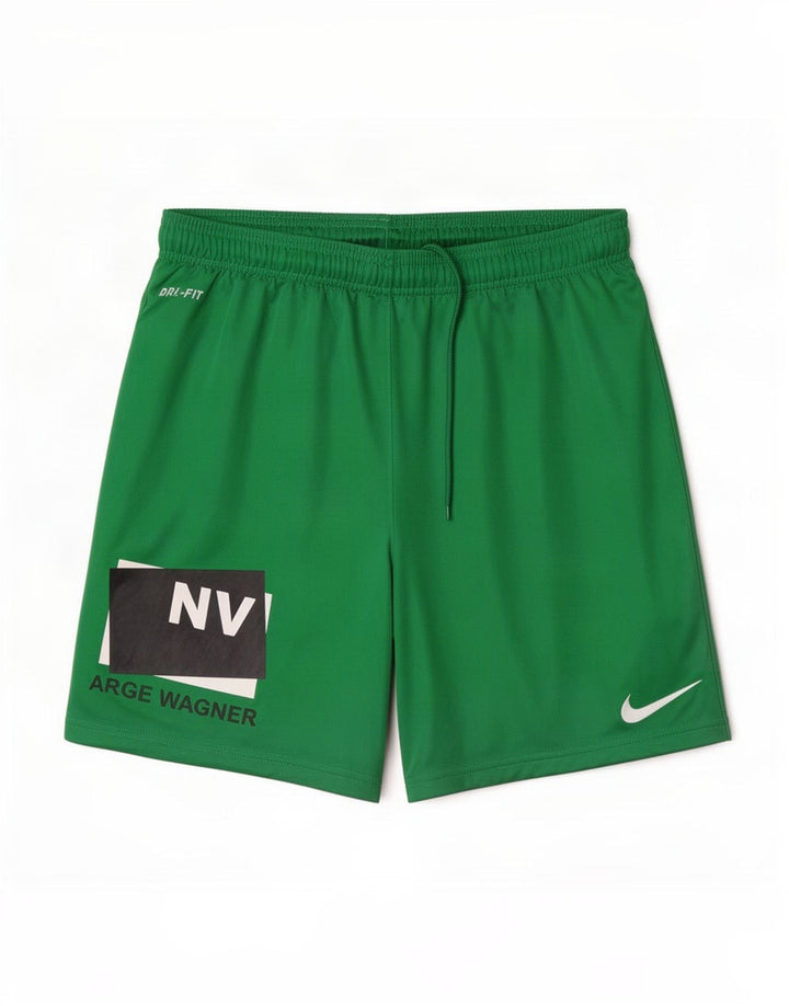 Мужские спортивные шорты Nike Dri Fit с графическим рисунком, большие зеленые полиэстер