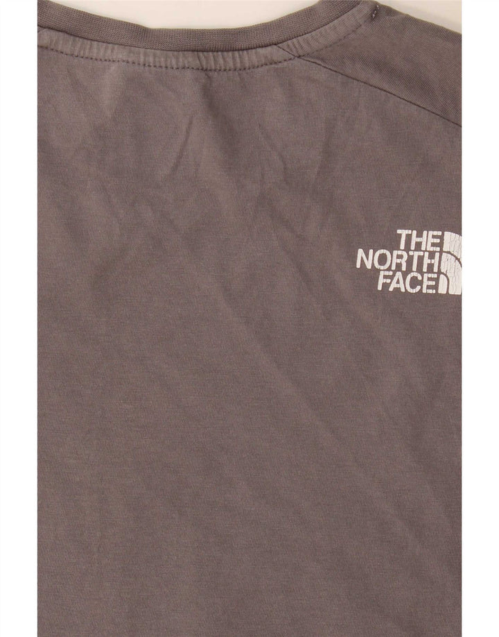 Мужская футболка с графическим рисунком The North Face, маленький серый цветной блок