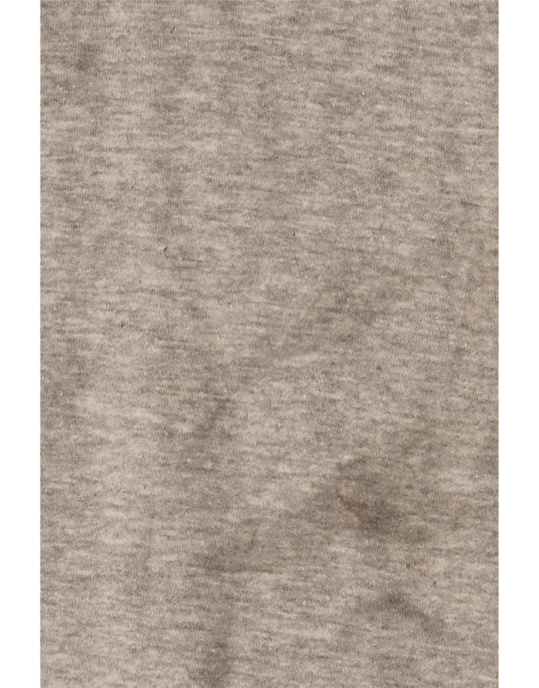 Мужской свитшот Champion, хлопковый джемпер среднего серого цвета