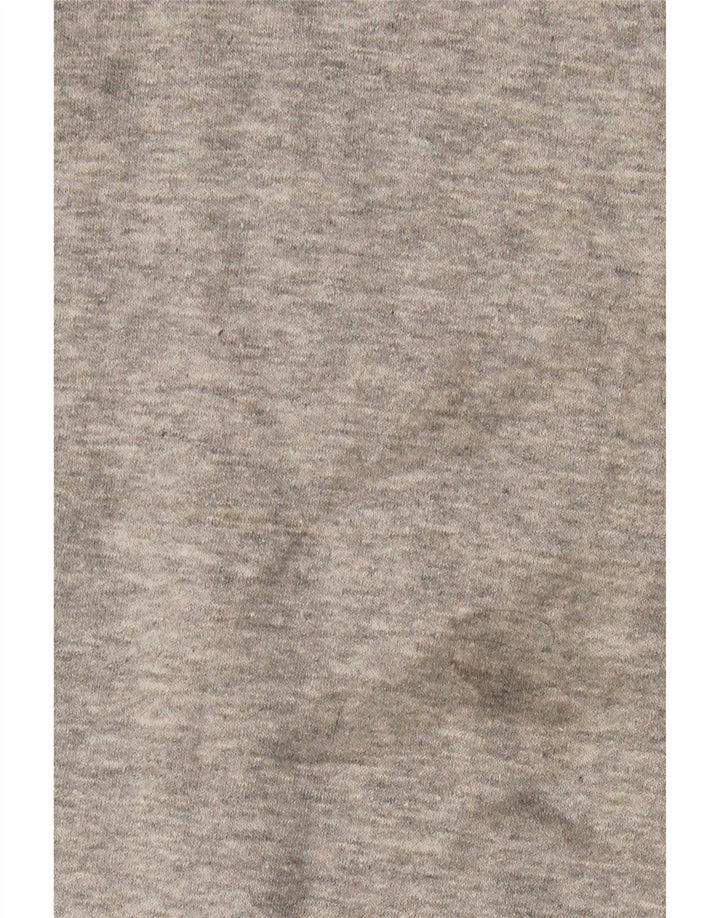 Мужской свитшот Champion, хлопковый джемпер среднего серого цвета