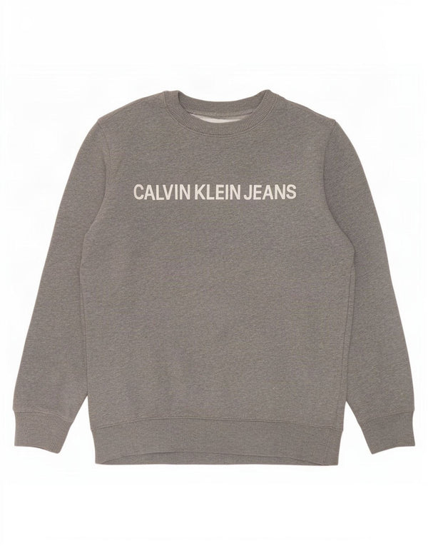 Мужской свитшот с рисунком Calvin Klein Jeans, маленький серый хлопковый джемпер