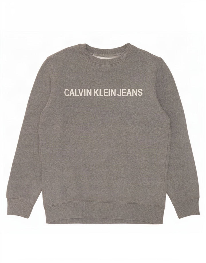Мужской свитшот с рисунком Calvin Klein Jeans, маленький серый хлопковый джемпер