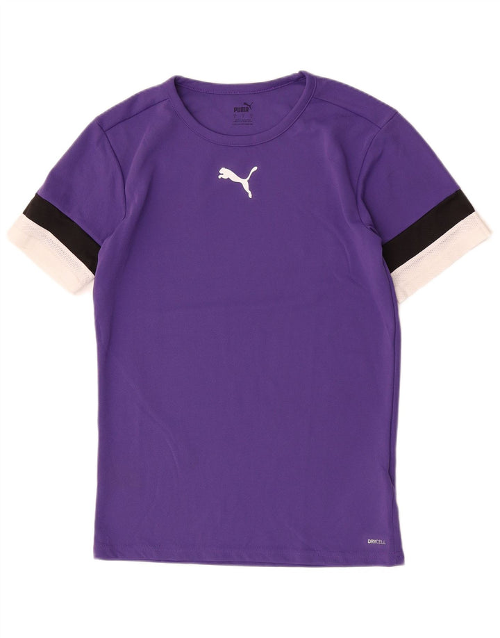 Мужская футболка Puma, маленькая, фиолетовая, из полиэстера с цветными блоками