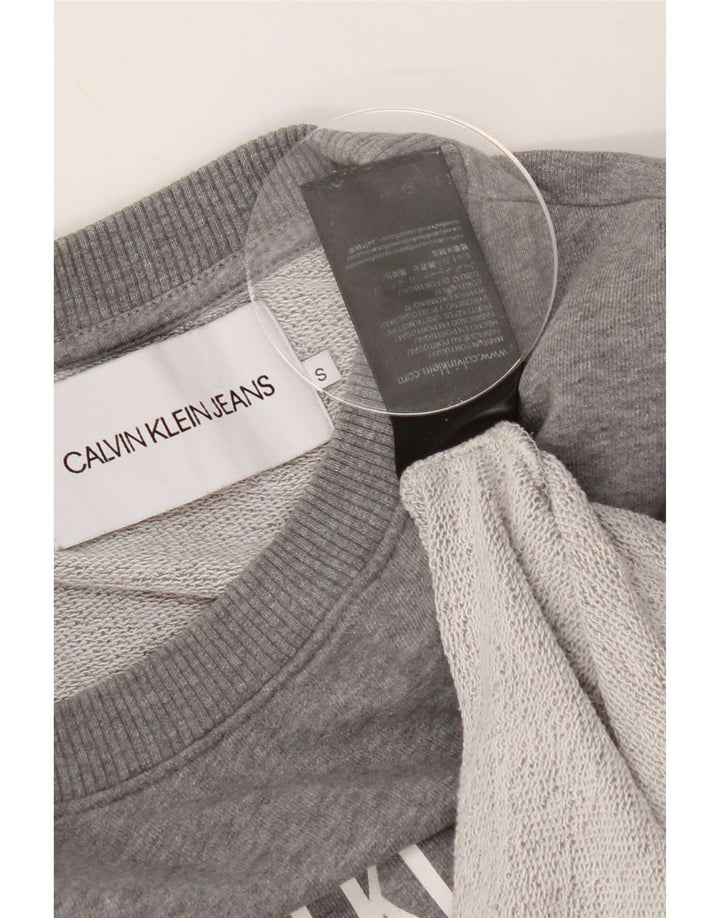 Мужской свитшот с рисунком Calvin Klein Jeans, маленький серый хлопковый джемпер