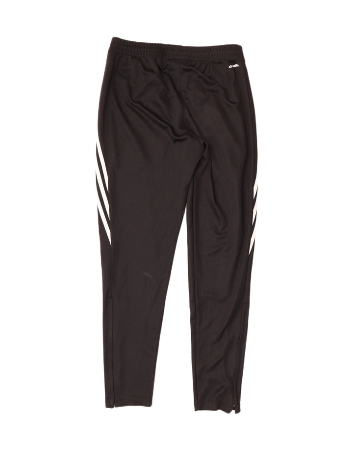 ADIDAS Mens Climalite Tracksuit Trousers Medium  Black Polyester