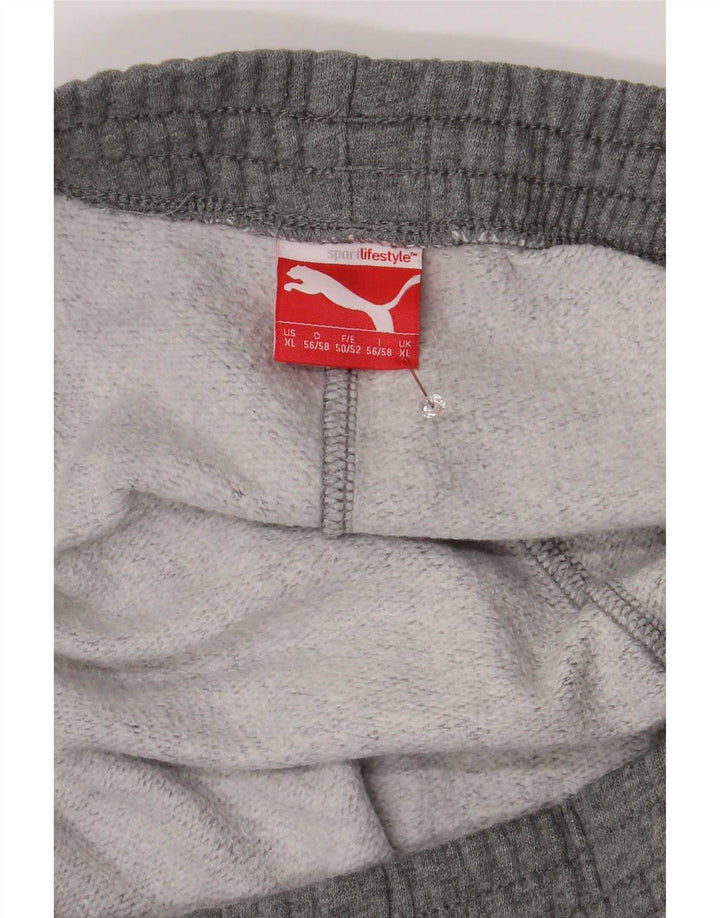 Мужские спортивные брюки Puma Joggers XL Серые