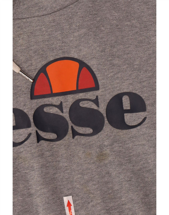 Мужской джемпер с капюшоном Ellesse с рисунком, средний серый, хлопок