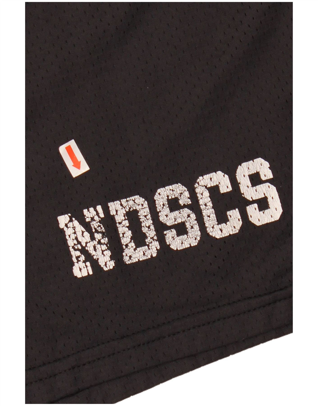 Мужские спортивные шорты с рисунком Champion XL, черный нейлон