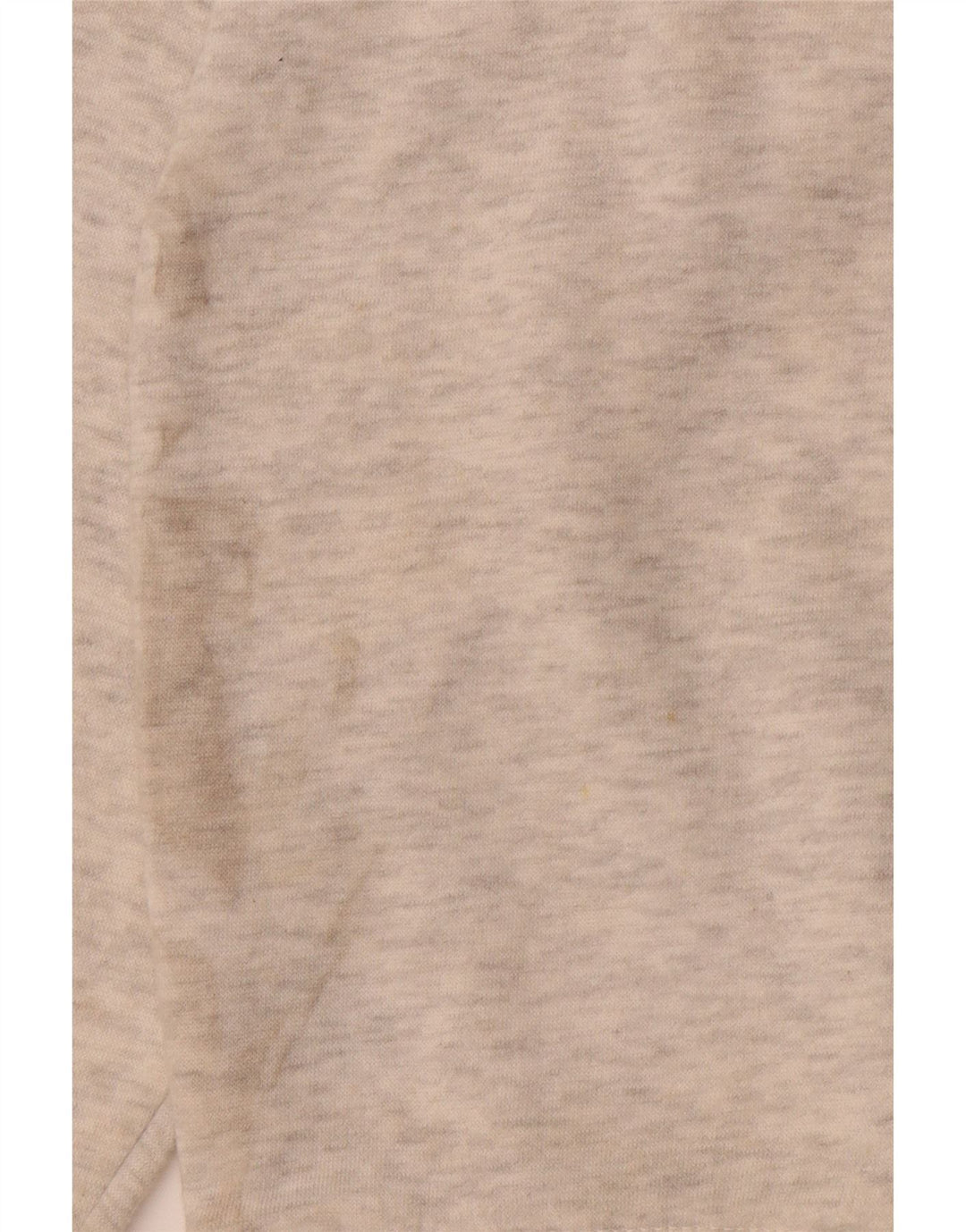 CHAMPION Mens Graphic Sweatshirt Jumper Small Grey Flecked Cotton Vintage Champion and Second-Hand Champion from Messina Hembry 