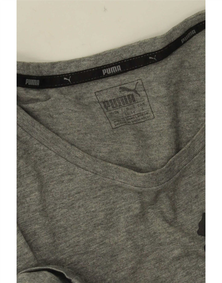 Мужская футболка с рисунком Puma, большая, серая