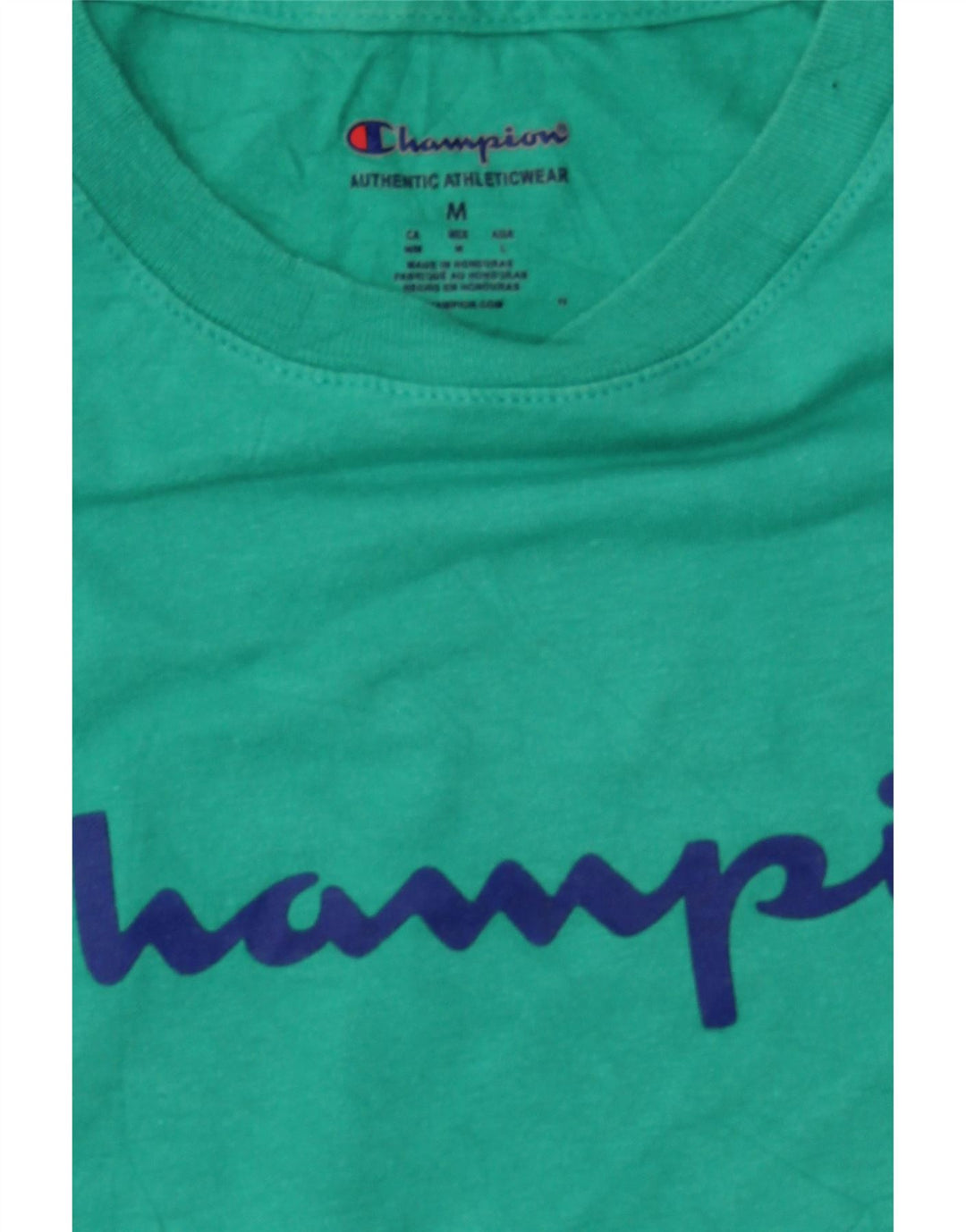 CHAMPION Mens Graphic T-Shirt Top Medium Turquoise Cotton Vintage Champion and Second-Hand Champion from Messina Hembry 