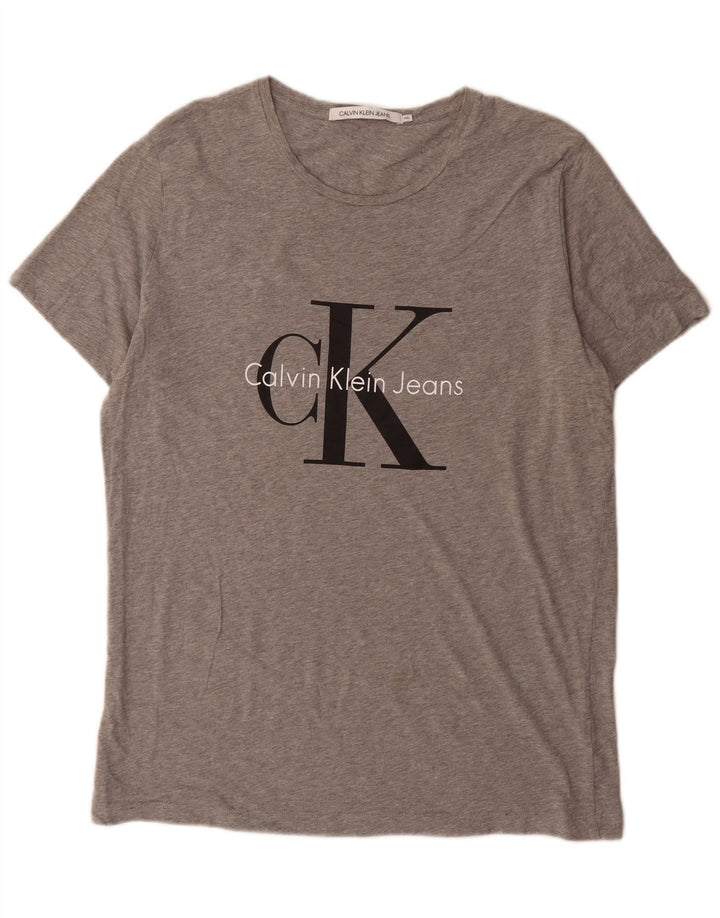 Мужская футболка с рисунком Calvin Klein Jeans Top 2XL Серая