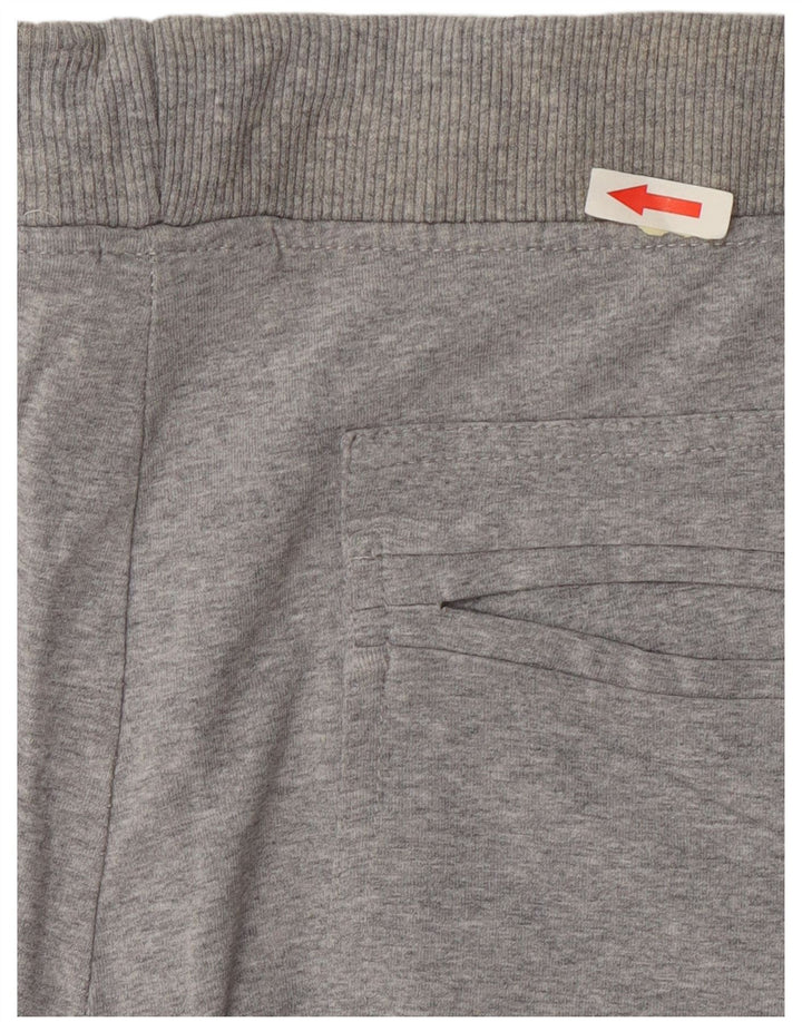 Мужские спортивные шорты Ellesse, большие серые, хлопок