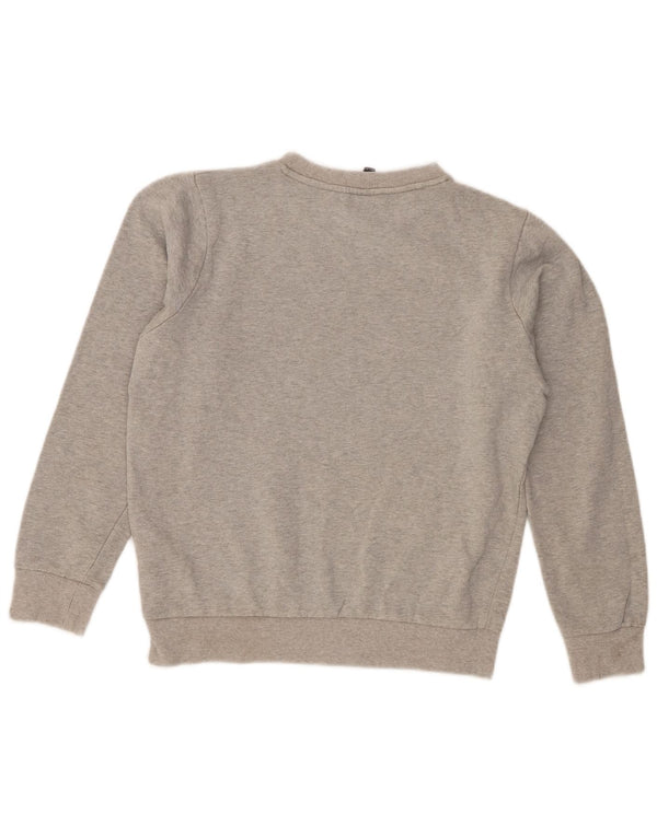 Свитшот Ellesse с рисунком для мальчиков, 13-14 лет, XL, серый хлопок