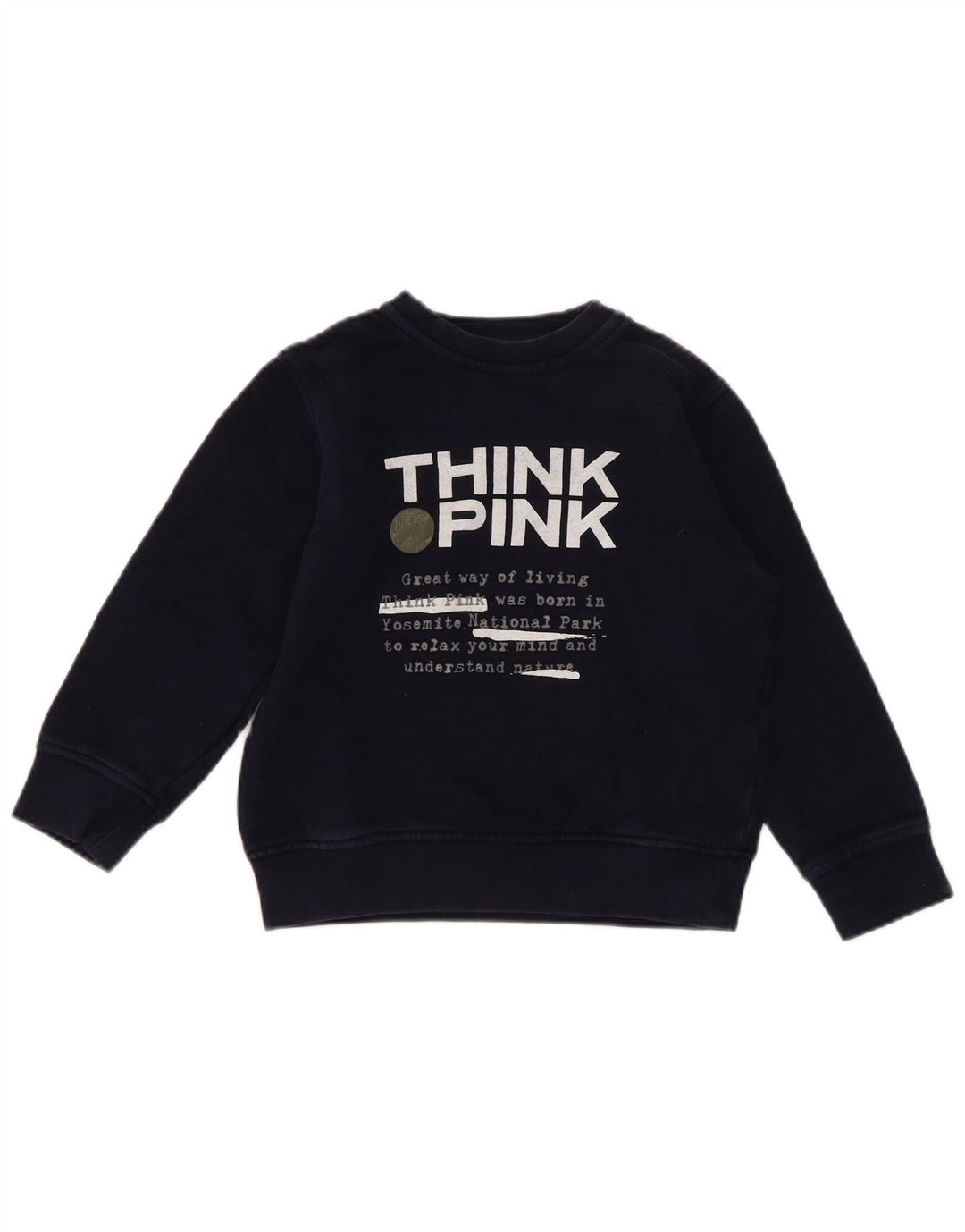 Свитшот Think Pink с графическим рисунком для мальчиков, джемпер стандартного кроя, 4–5 лет, темно-синий