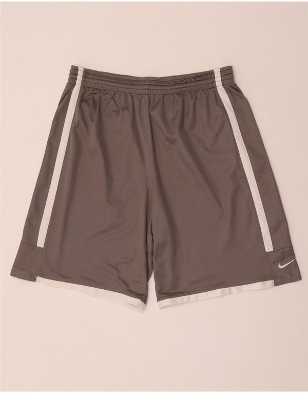 Мужские спортивные шорты Nike Dri Fit XL, серые, полиэстер с цветными блоками