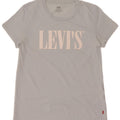 Мужская футболка с рисунком Levi's Top UK 10, маленькая, синяя, хлопок