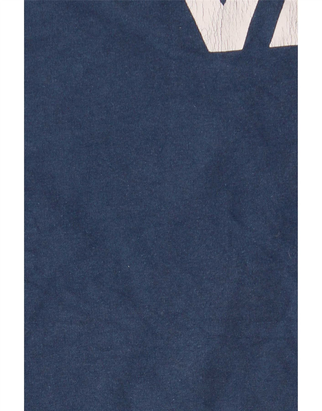 Мужская футболка с рисунком Vans Top XL, синяя, хлопок